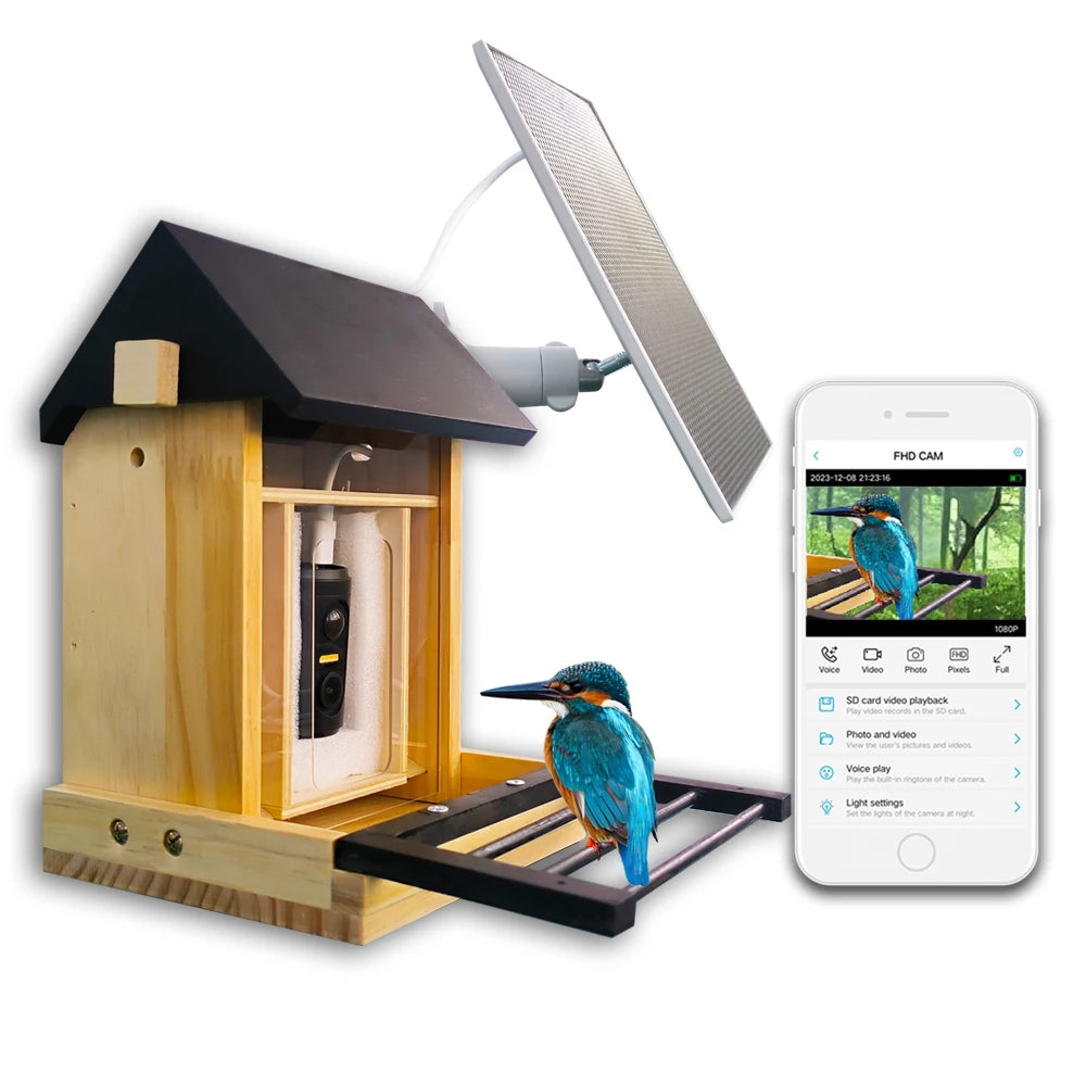 1080P Bird Feeder Camera