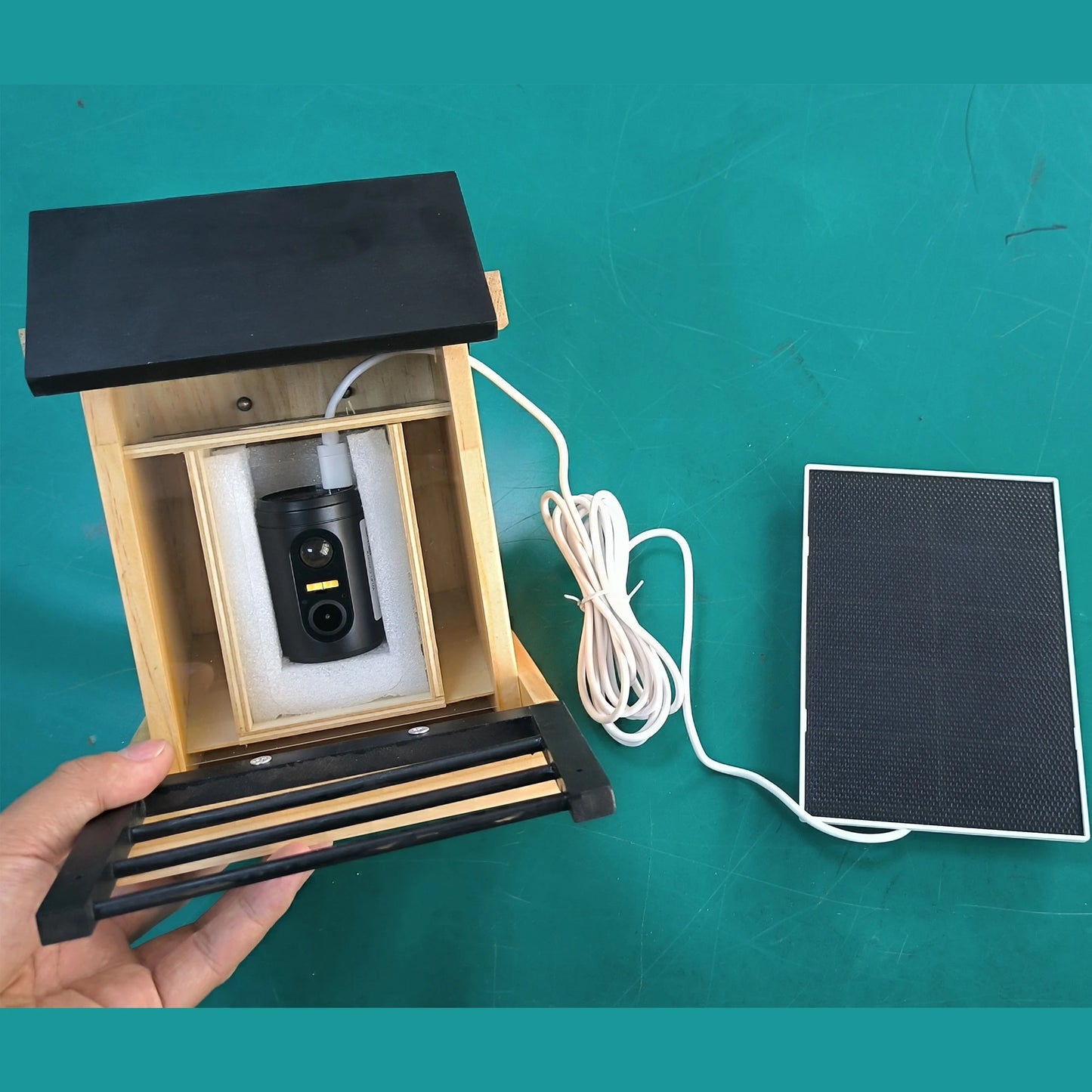 1080P Bird Feeder Camera