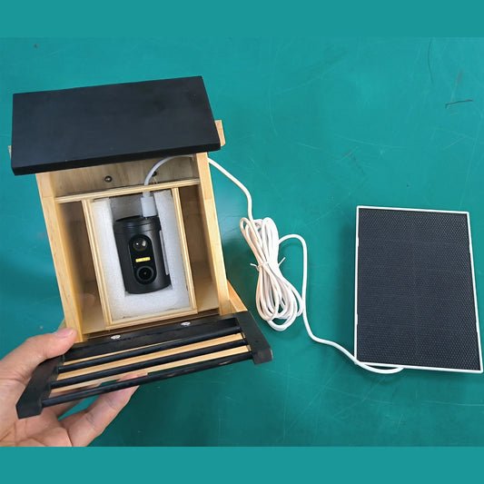 1080P Bird Feeder Camera