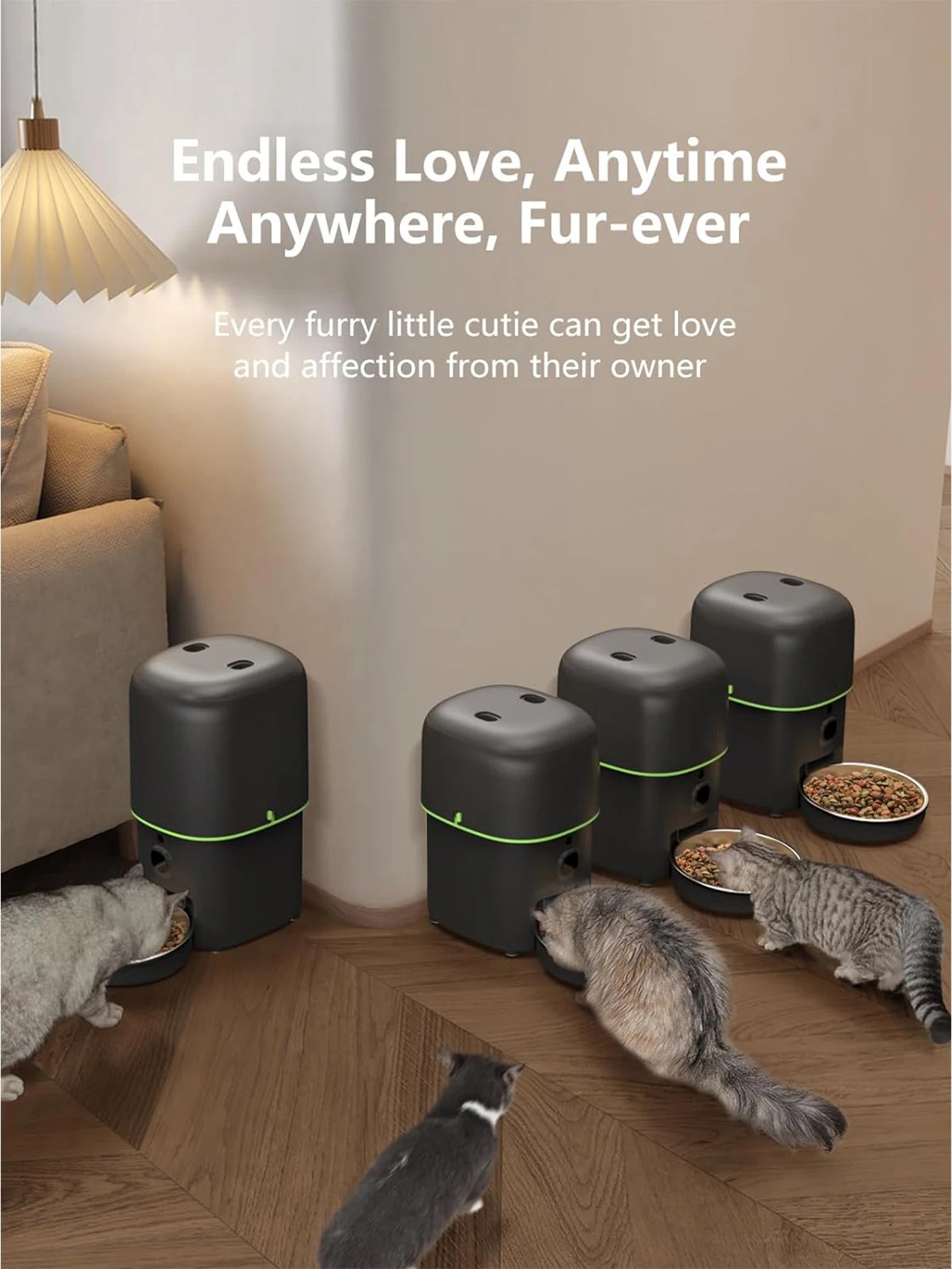 Auto Pet Feeder — Feed Your Pet From Anywhere