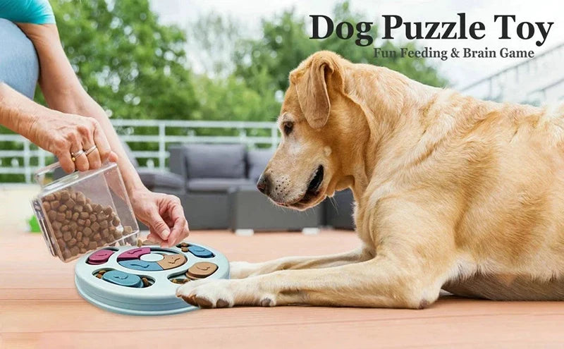Dog IQ Puzzle Feeder — Keep Your Dog Happy and Busy