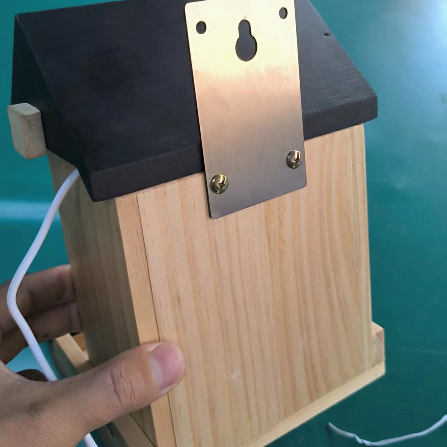 1080P Bird Feeder Camera