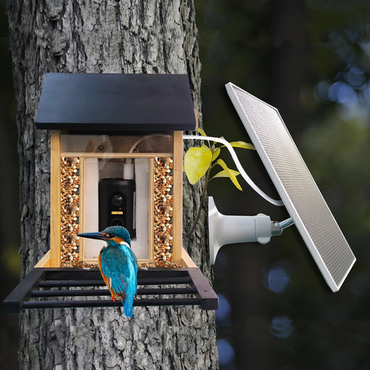 1080P Bird Feeder Camera