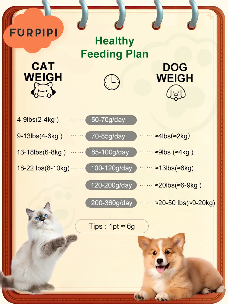 Auto Pet Feeder — Feed Your Pet From Anywhere