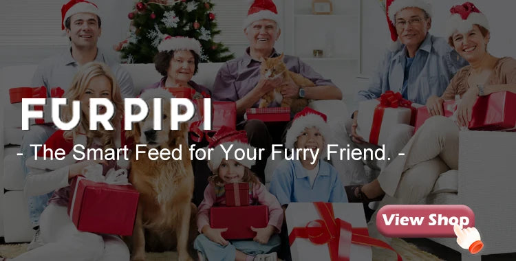 Auto Pet Feeder — Feed Your Pet From Anywhere